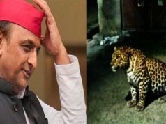 राजधानी लखनऊ में AI तेंदुए ने मचाया हड़कंम, अखिलेश भी धोखा खा गए AI leopard creates panic in capital Lucknow, Akhilesh also gets dupe