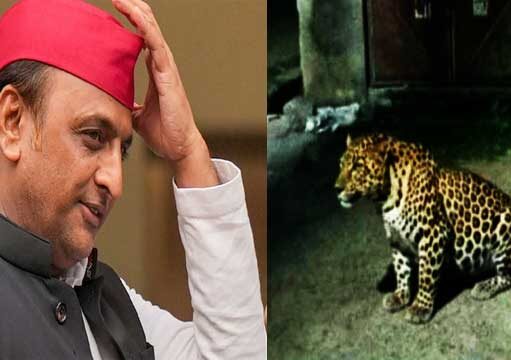 राजधानी लखनऊ में AI तेंदुए ने मचाया हड़कंम, अखिलेश भी धोखा खा गए AI leopard creates panic in capital Lucknow, Akhilesh also gets dupe